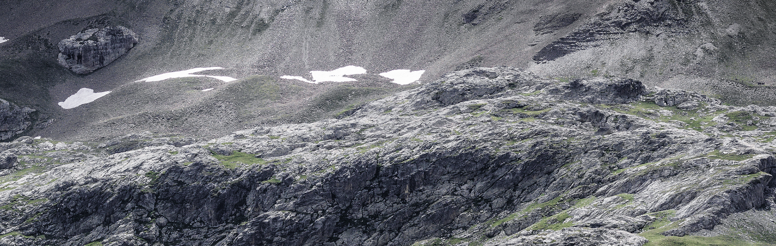 Vermögensverwaltung